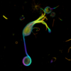Goldfish retinal bipolar cell stained with SiR-tubulin