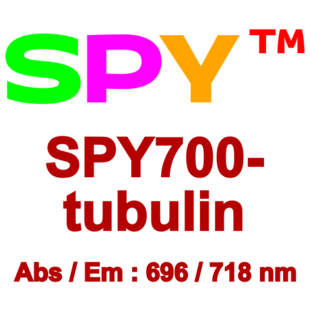 SPY700-tubulin